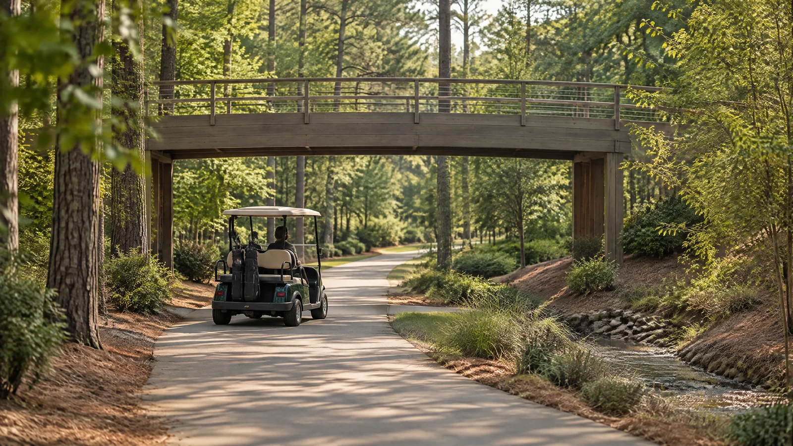 Original golf cart on a wooded multi-use path beneath a pedestrian crossing used as representative context