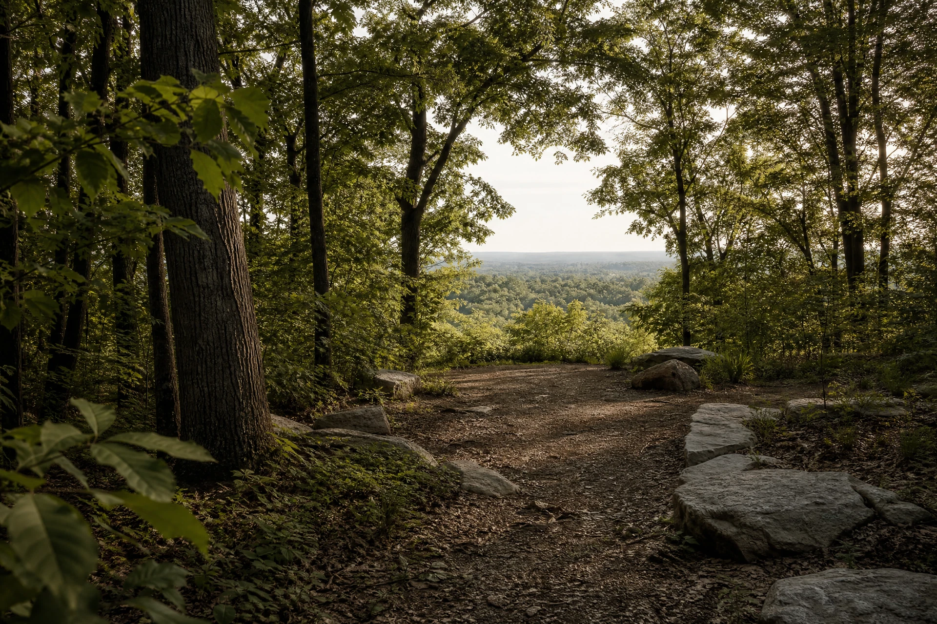 Representative Piedmont woodland setting reflecting Fayetteville natural-space context