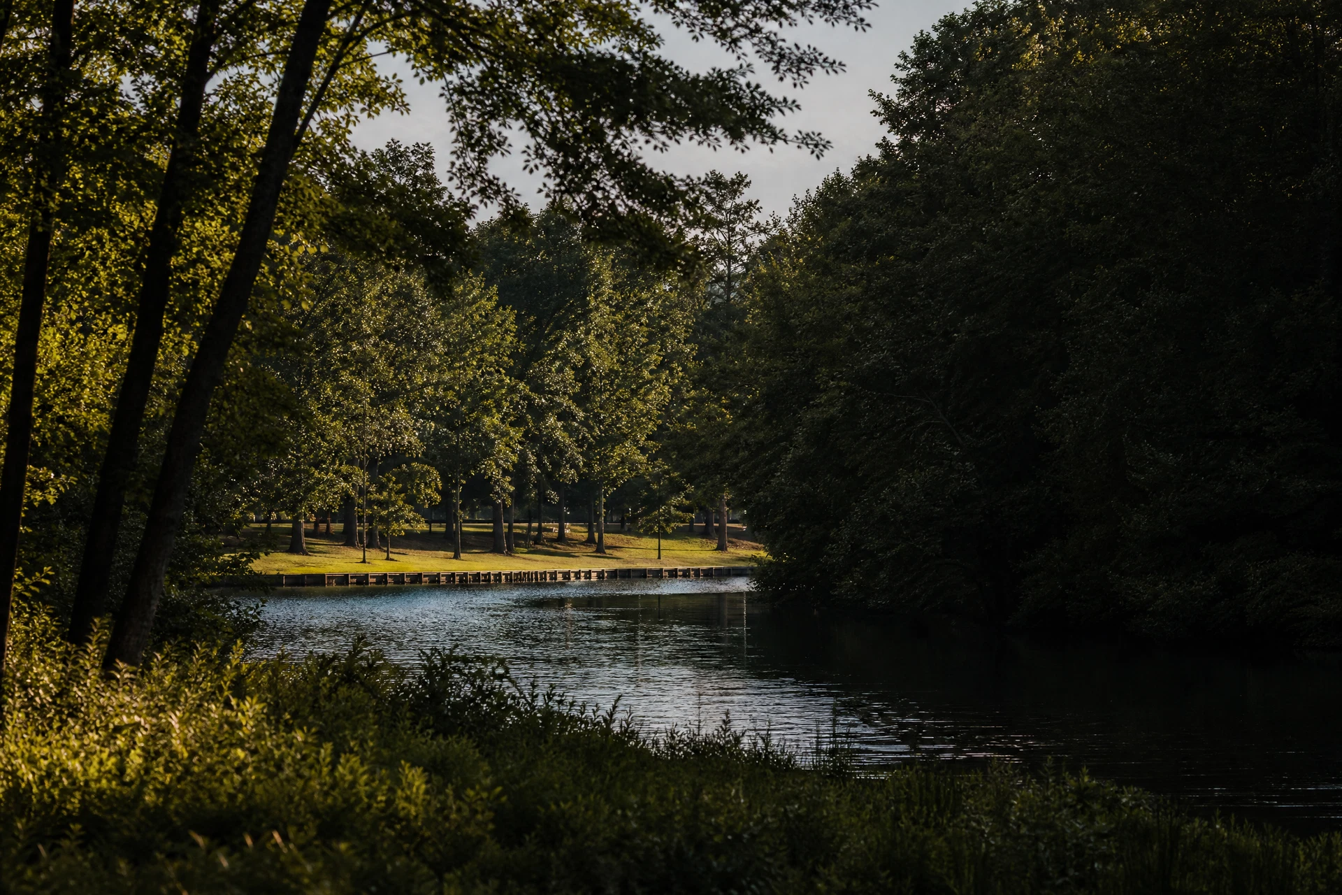 Representative wooded lake edge reflecting Peachtree City outdoor context