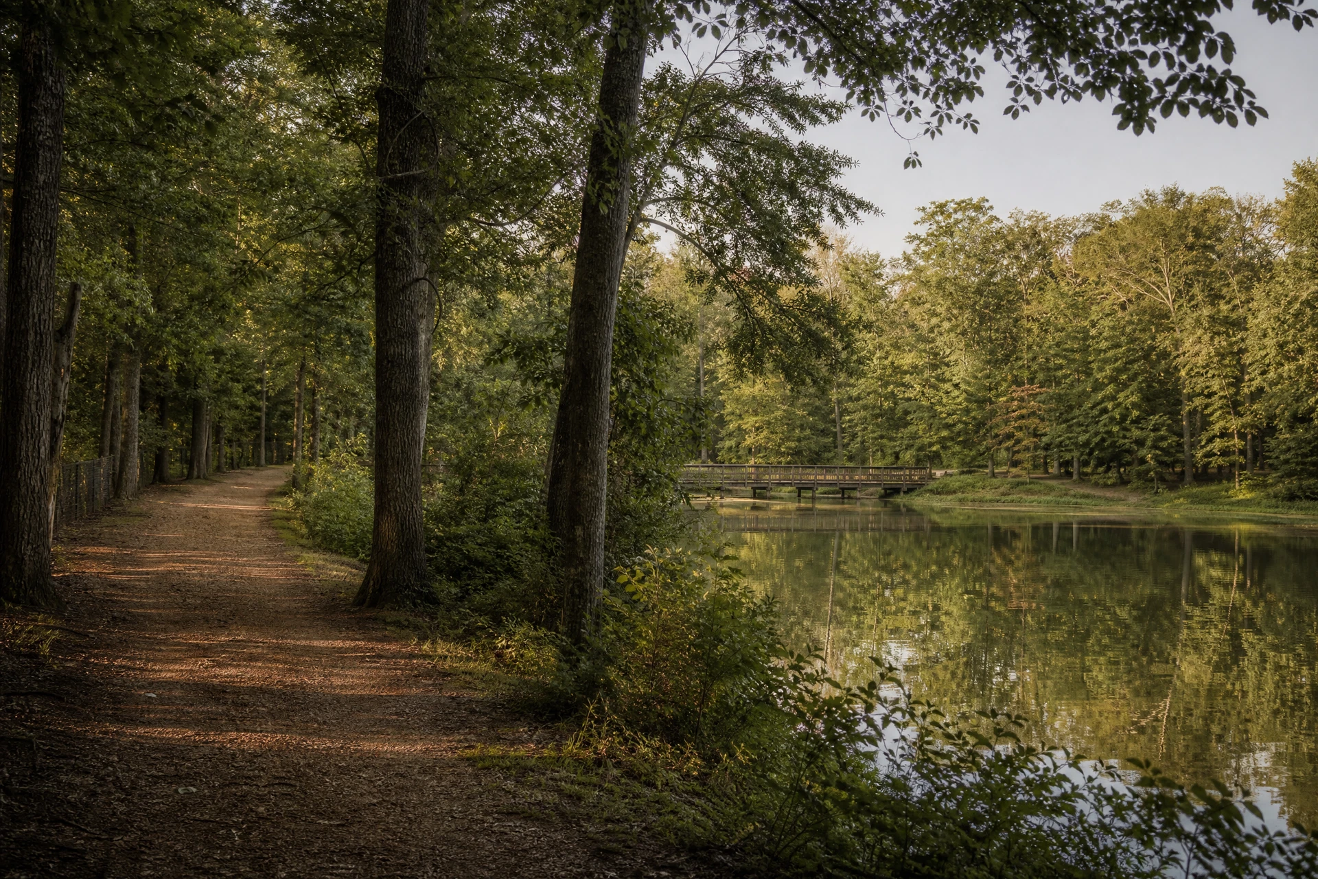 Representative wooded trail and small-lake setting reflecting Senoia recreation context